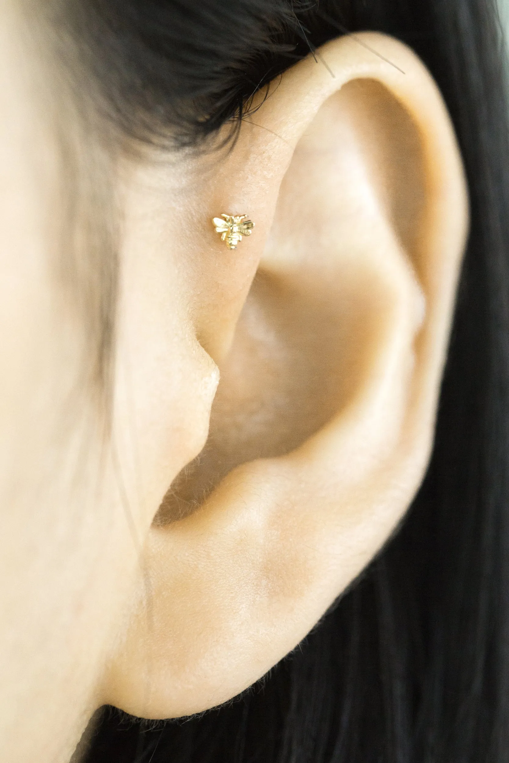 14K Real Gold Minimalist Solitaire Animal Forward Helix Cartilage Tragus Inner Conch Ear Stud Post Internally Threaded Flat Back