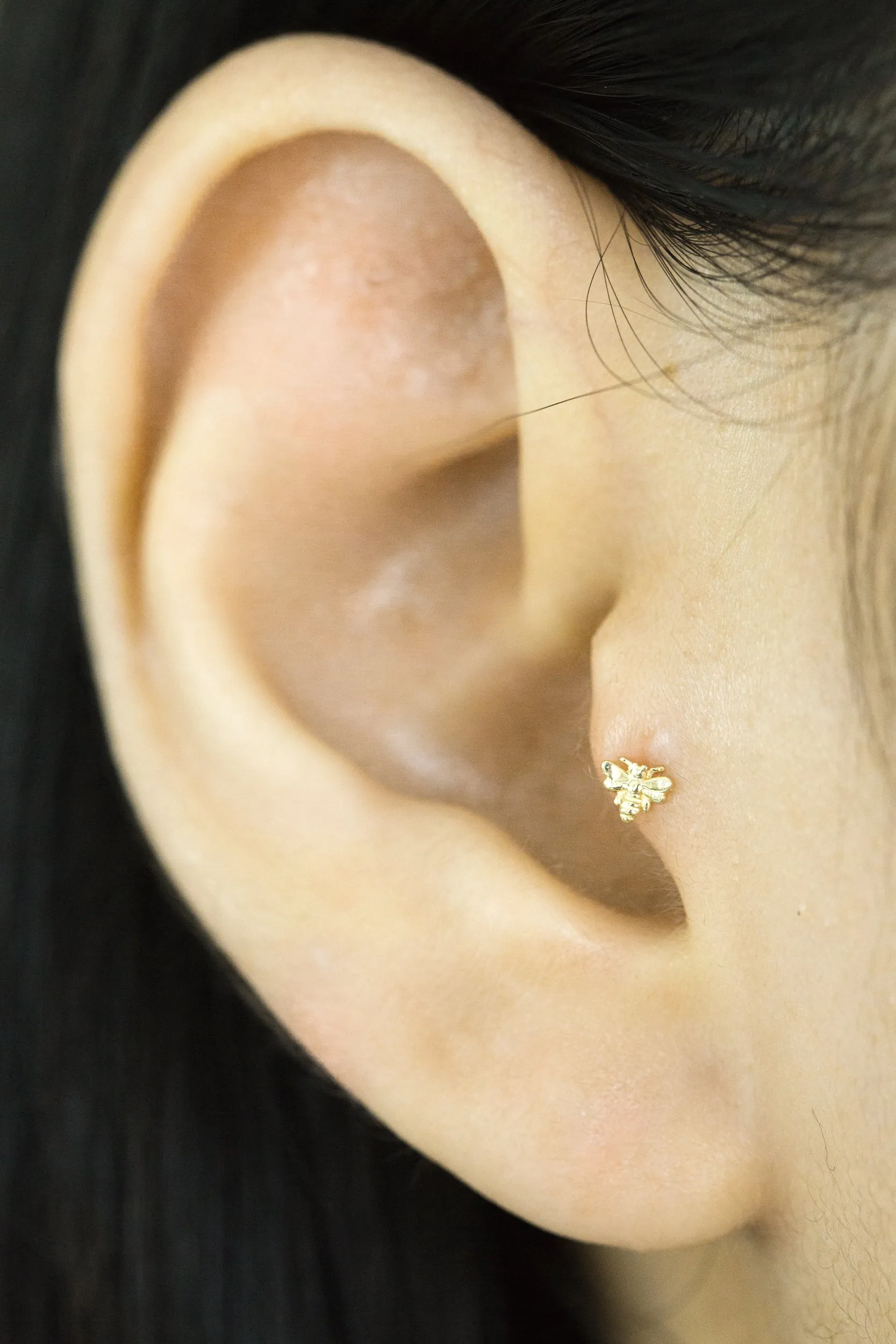 14K Real Gold Minimalist Solitaire Animal Forward Helix Cartilage Tragus Inner Conch Ear Stud Post Internally Threaded Flat Back