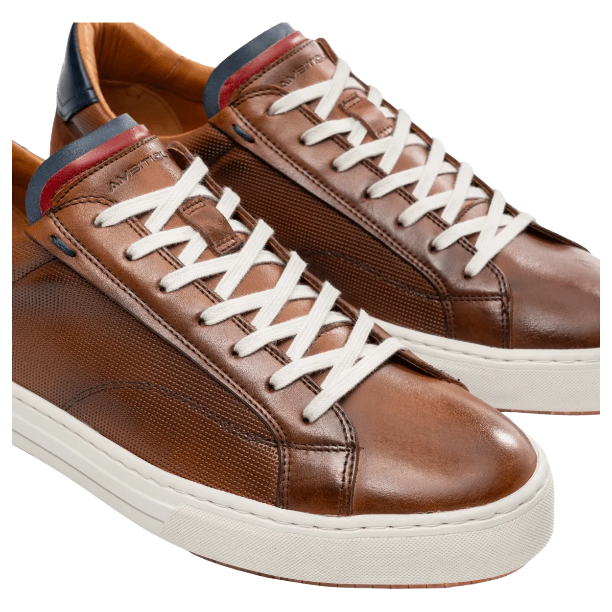 Ambitious Anopolis Leather Trainers