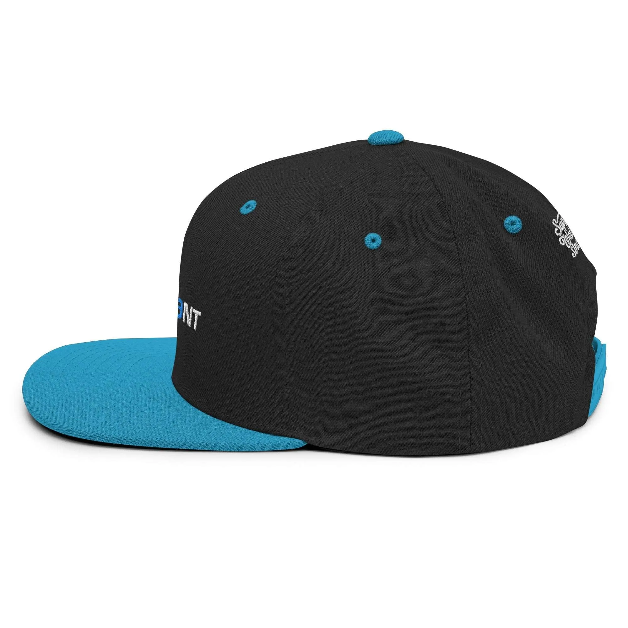 Logo Snapback Hat | Black & Blue