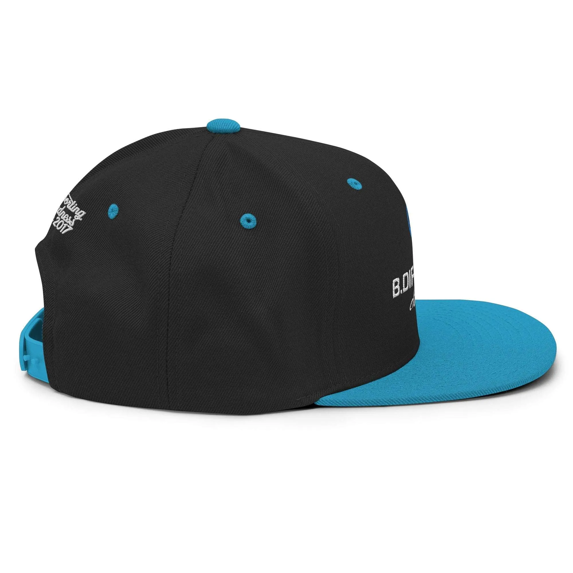 Logo Snapback Hat | Black & Blue