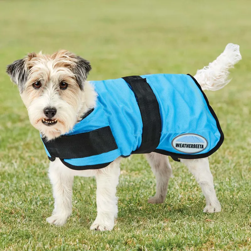 WeatherBeeta Blue Cooling Dog Coat