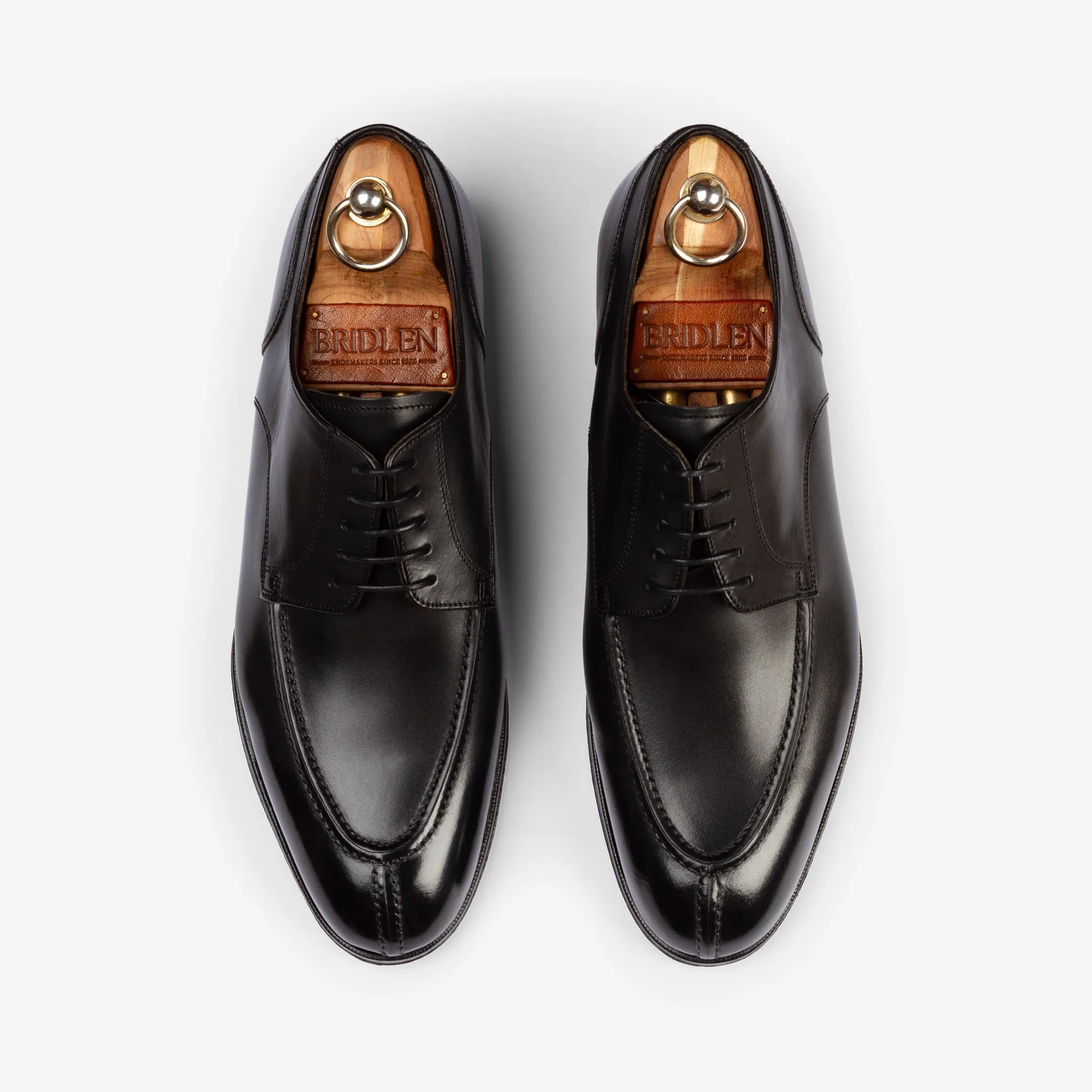 Y-Tip Derby - Black - Blake Line